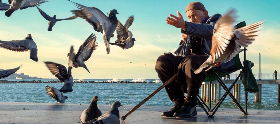 a man sitting on a bench feeding birds