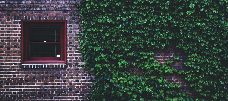 Exploring the Benefits of Green Mortgages