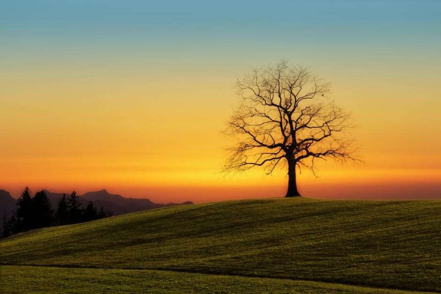 Purchasing Green Bonds