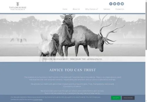 Website Image of Taylor Burke Partnership