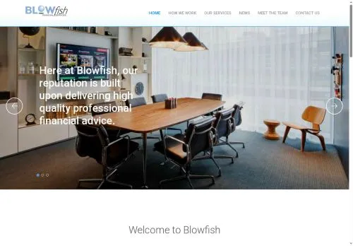 Website Image of Blowfish Financial Services Limited