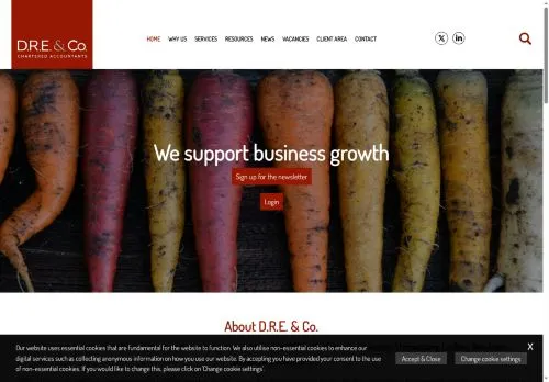 Website Image of D.r.e. & Co Financial Planning LLP
