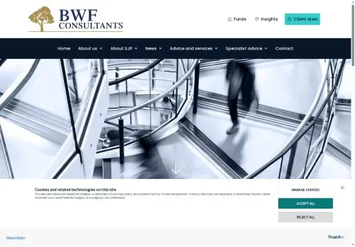 Website Image of BWF Consultants LTD