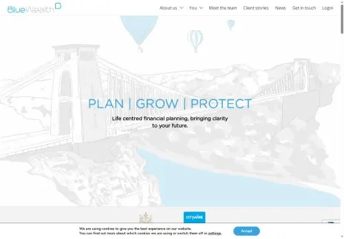 Website Image of Blue Financial Group Limited
