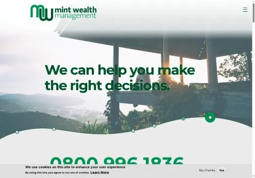 Website Image of Mint Wealth Management Limited