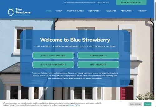 Website Image of Blue Strawberry Financial Services LTD