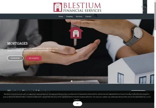 Website Image of Blestium Financial Services LTD