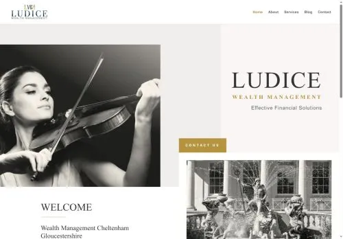 Website Image of Ludice Wealth Management LTD