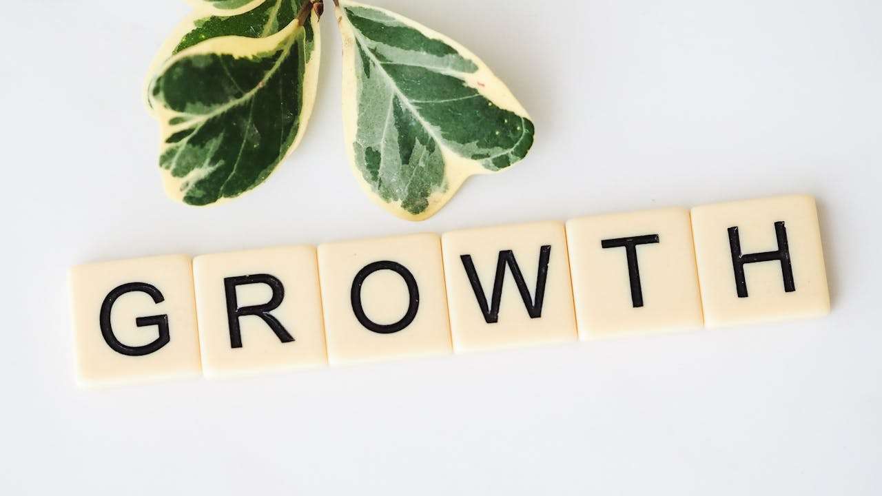 blocks showing the word growth with a plant at the top