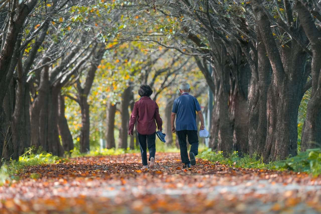 two elderly people walking through a tunnel of trees