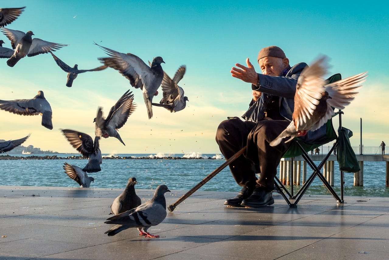 a man sitting on a bench feeding birds