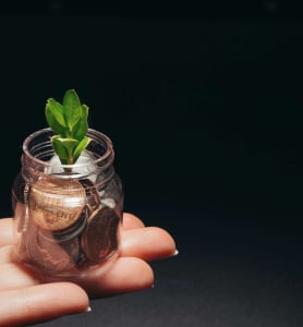 money in a glass jar with a plant growing from within